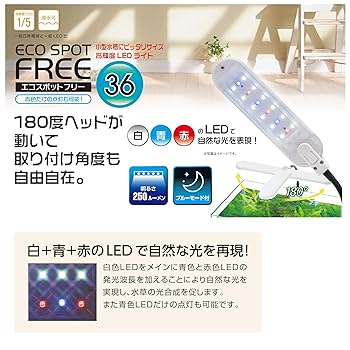 Amazon | 寿工芸 コトブキ工芸 エコスポットフリー 36 3W